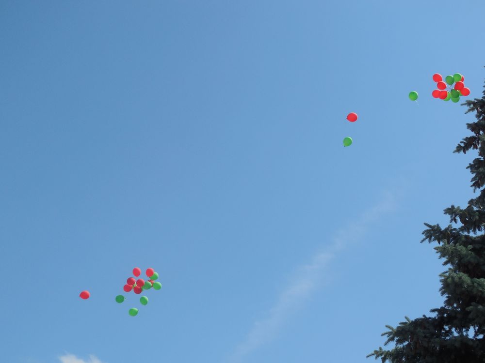 DSCN1502