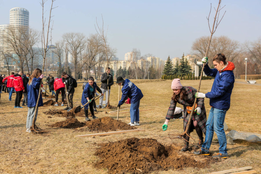 IMG ef1200296185d33dc42c0caa36185202 V