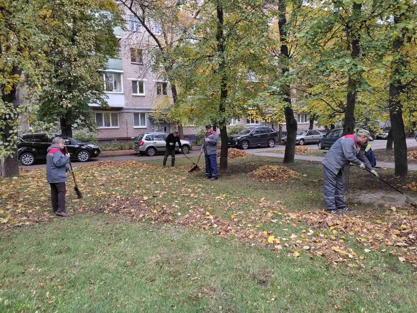 IMG c40d6e226adc91483949acbfe1bdf00a V