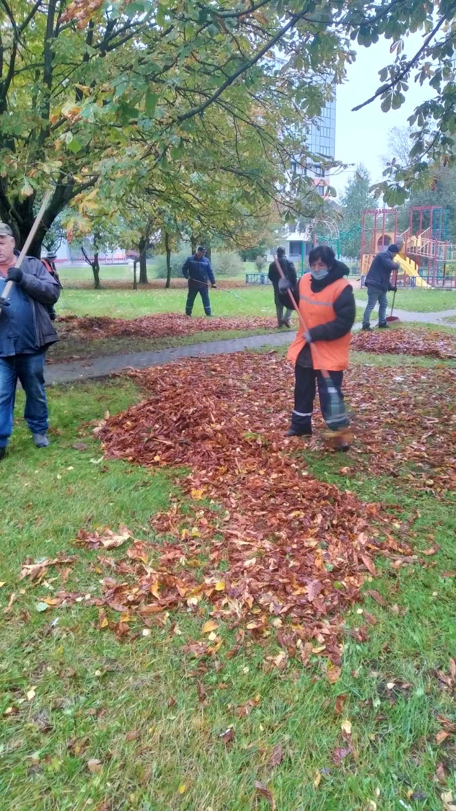 IMG c40d6e226adc91483949acbfe1bdf00a V