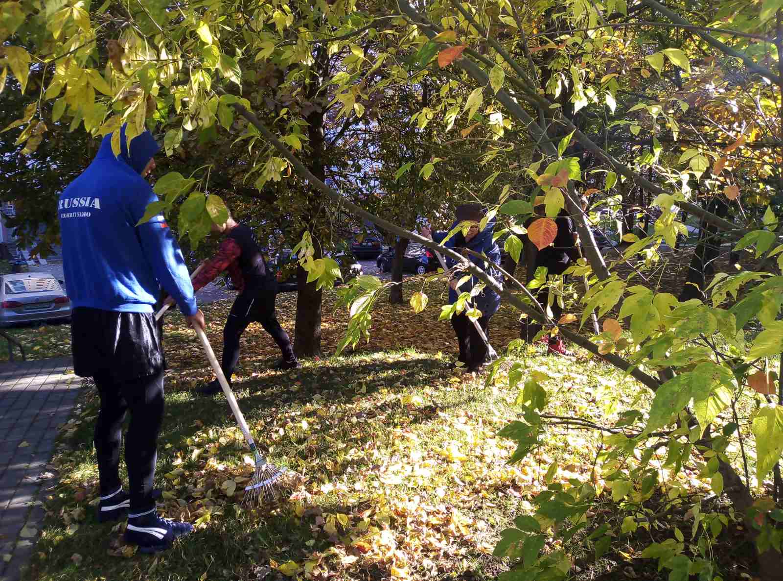 IMG ff698ad62451ef57a64b6bf7d2a15c09 V