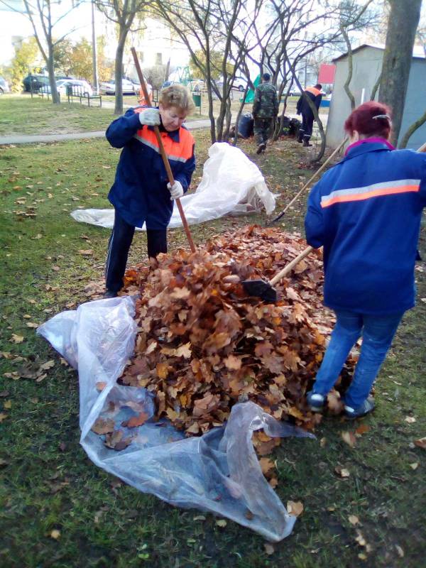 IMG a89bc037cb7415ba79cb50a08e7f944b V