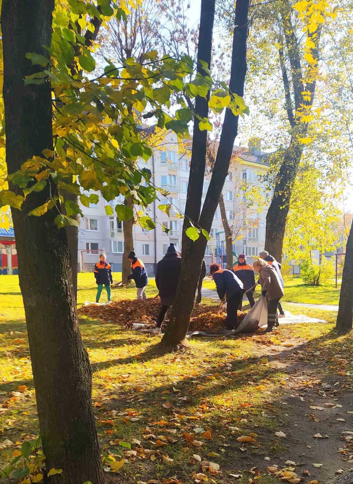 IMG f2ad28d804069dfb36ae57d8b1a7471b V