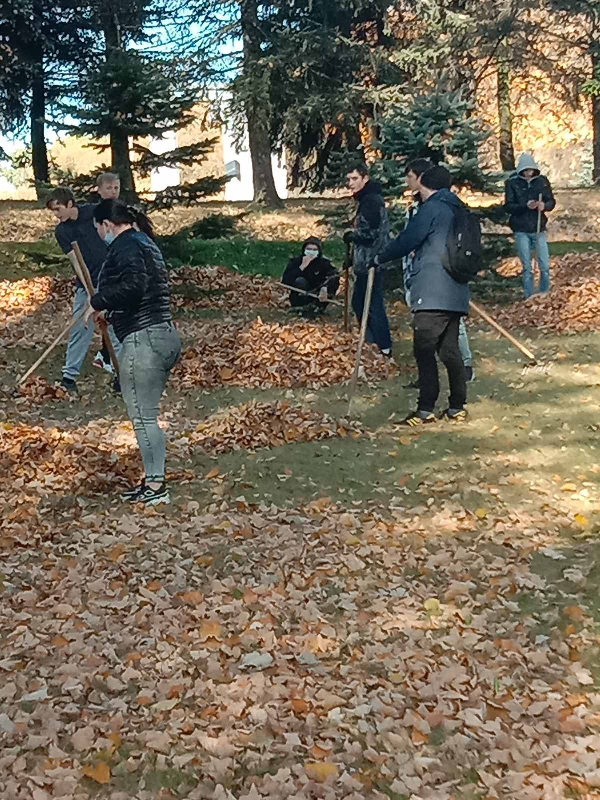 IMG 20211009 115525 resized 20211009 123321110