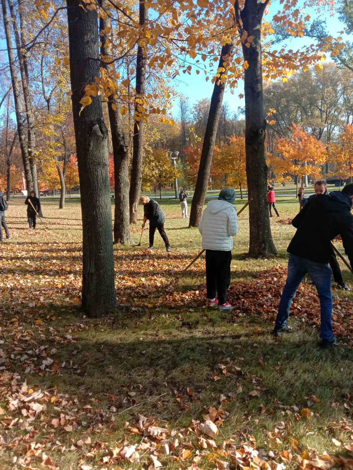 IMG 20211009 115525 resized 20211009 123321110