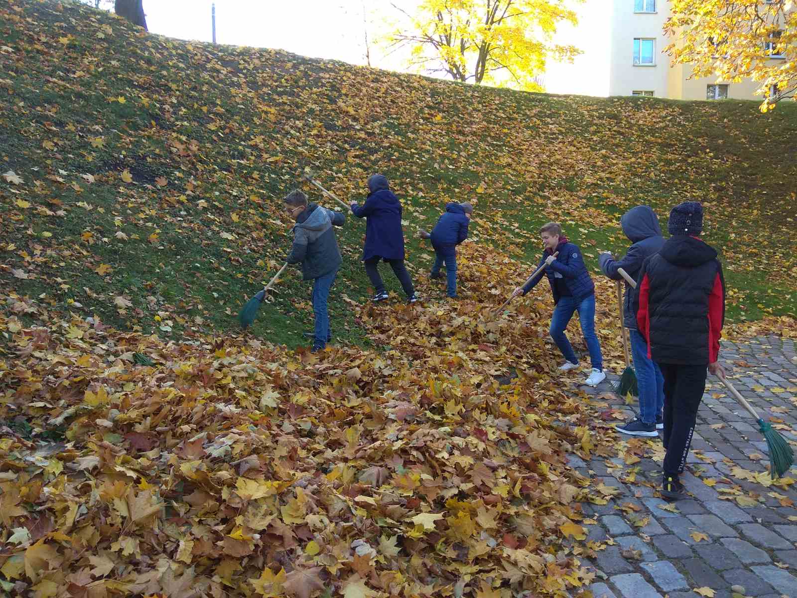 IMG 20211009 115525 resized 20211009 123321110