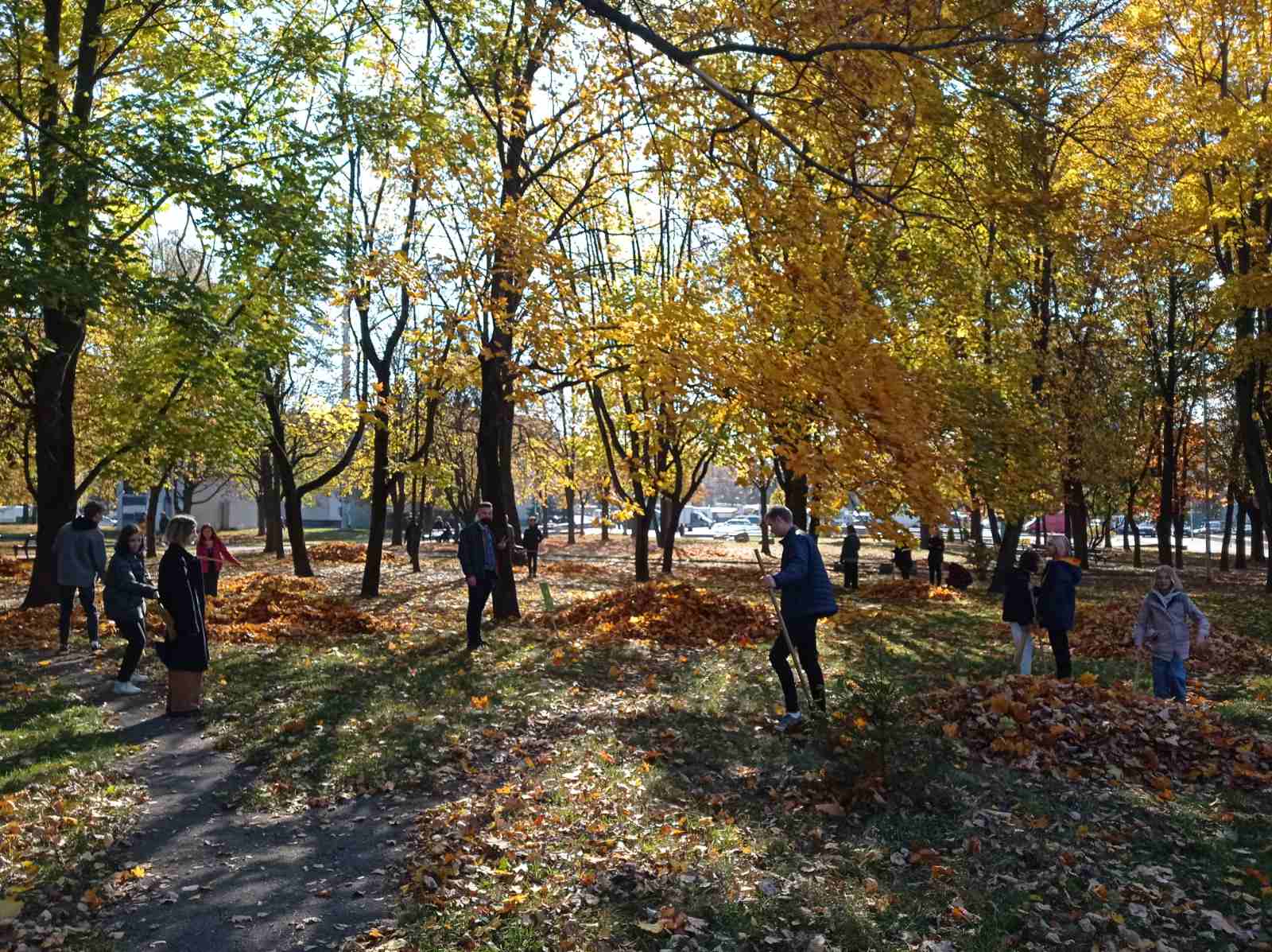 IMG 20211009 115525 resized 20211009 123321110