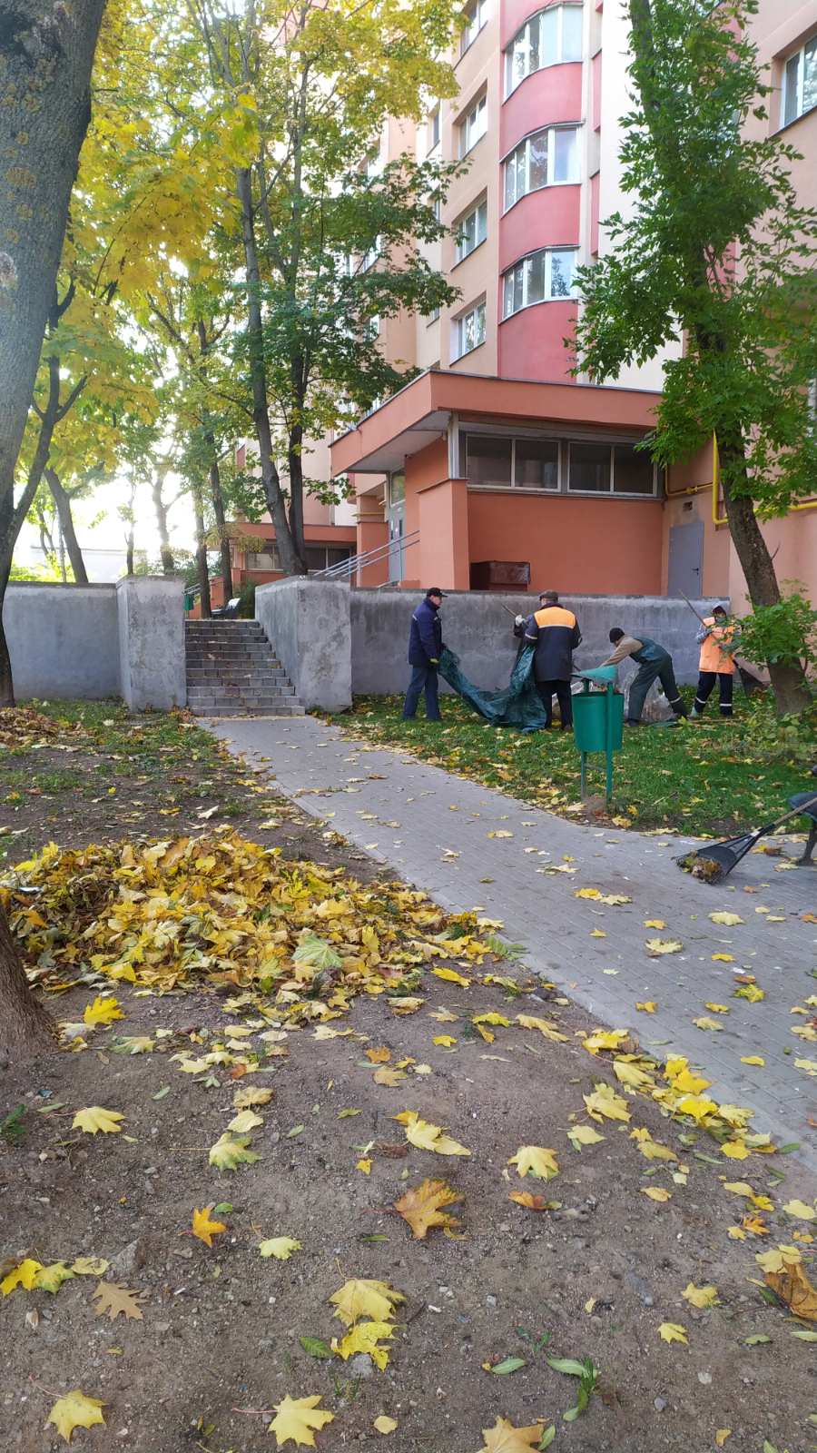 IMG 5e7a13740bee0b7a8ee4b1e3d3588a9b V