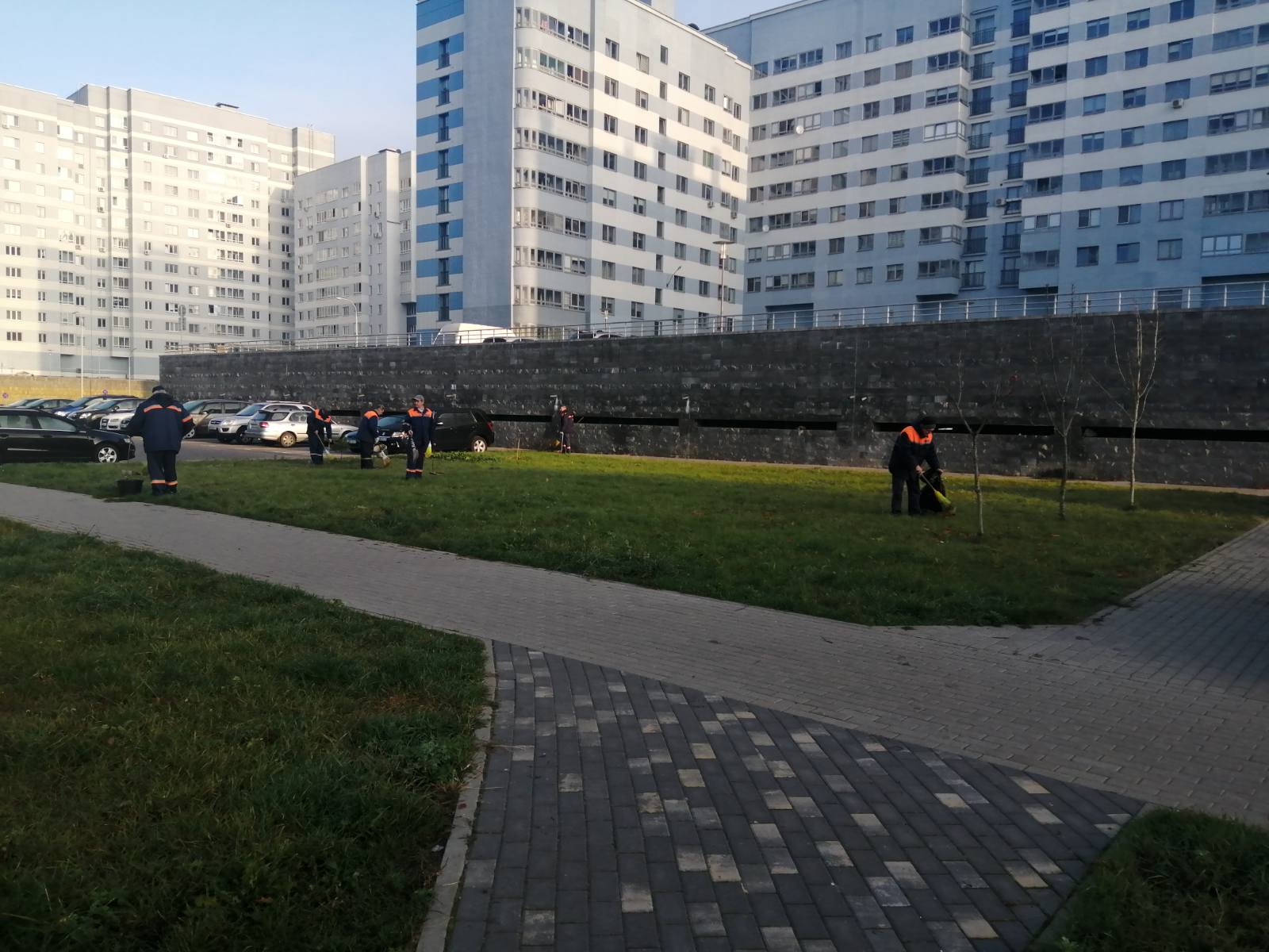 IMG f81298851456c912c5460d44610d2c89 V