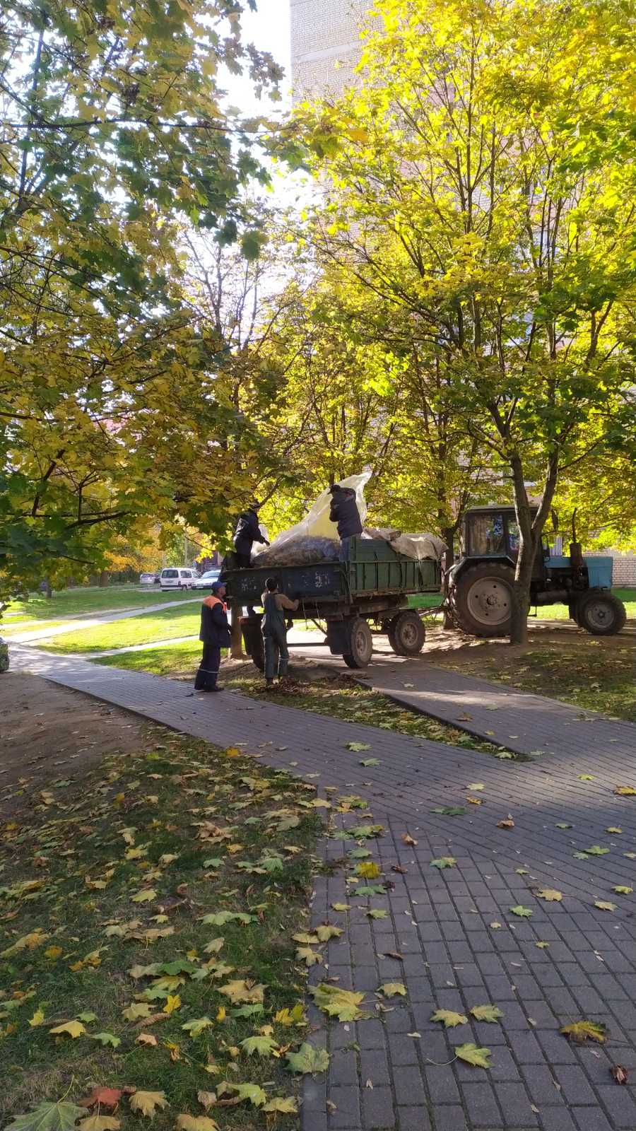 IMG 5e7a13740bee0b7a8ee4b1e3d3588a9b V