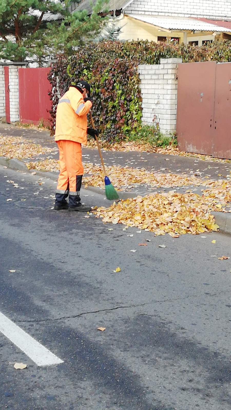 IMG bd997679c071f3811e4466e9d77a64c7 V