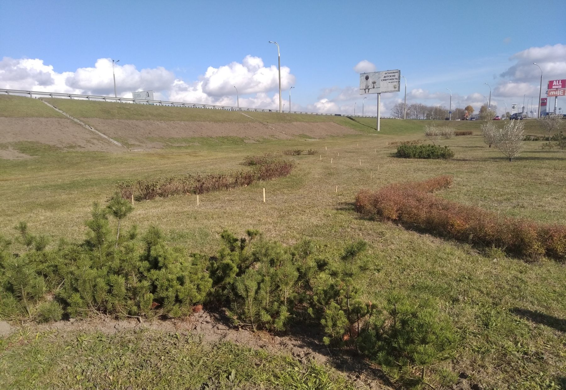 IMG f172c3c20262c21ae022e3fbac47dbca V