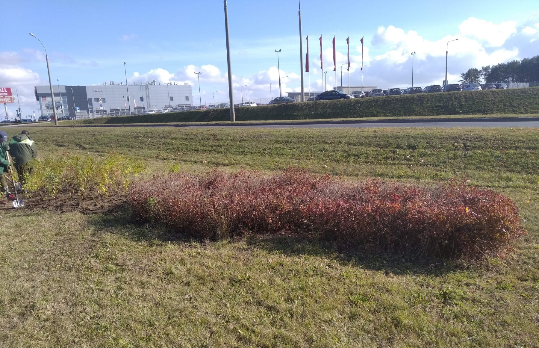 IMG f172c3c20262c21ae022e3fbac47dbca V