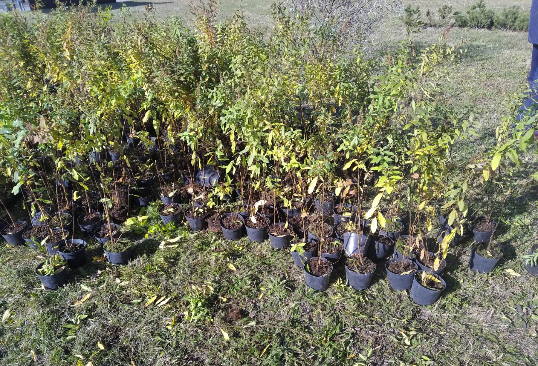 IMG f172c3c20262c21ae022e3fbac47dbca V