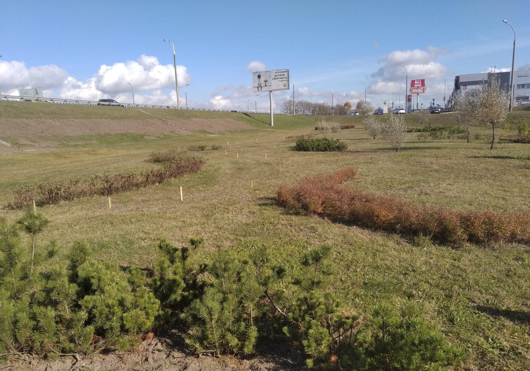 IMG f172c3c20262c21ae022e3fbac47dbca V