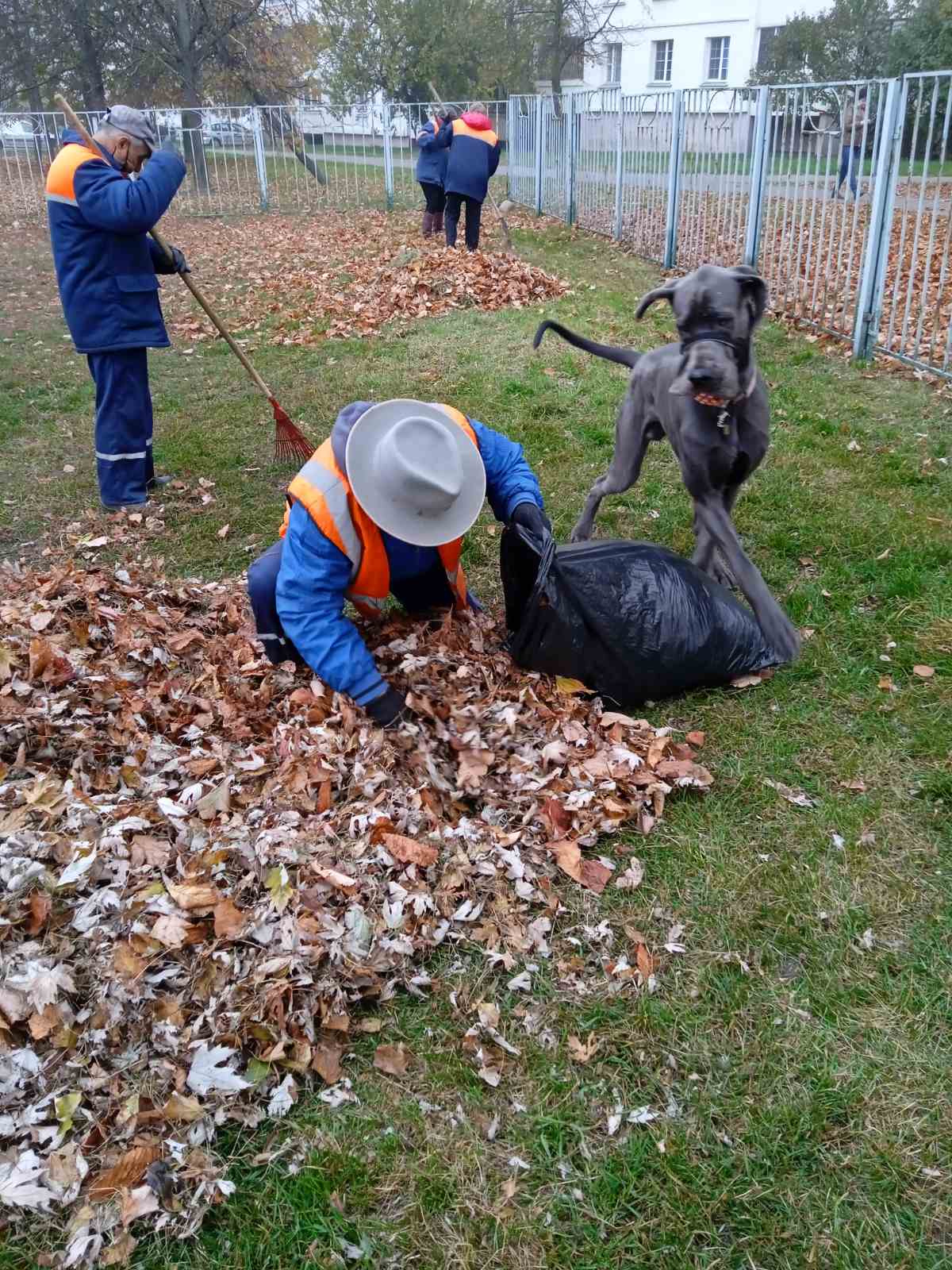 IMG bc37df8d3316185a2316cb3adf279f88 V