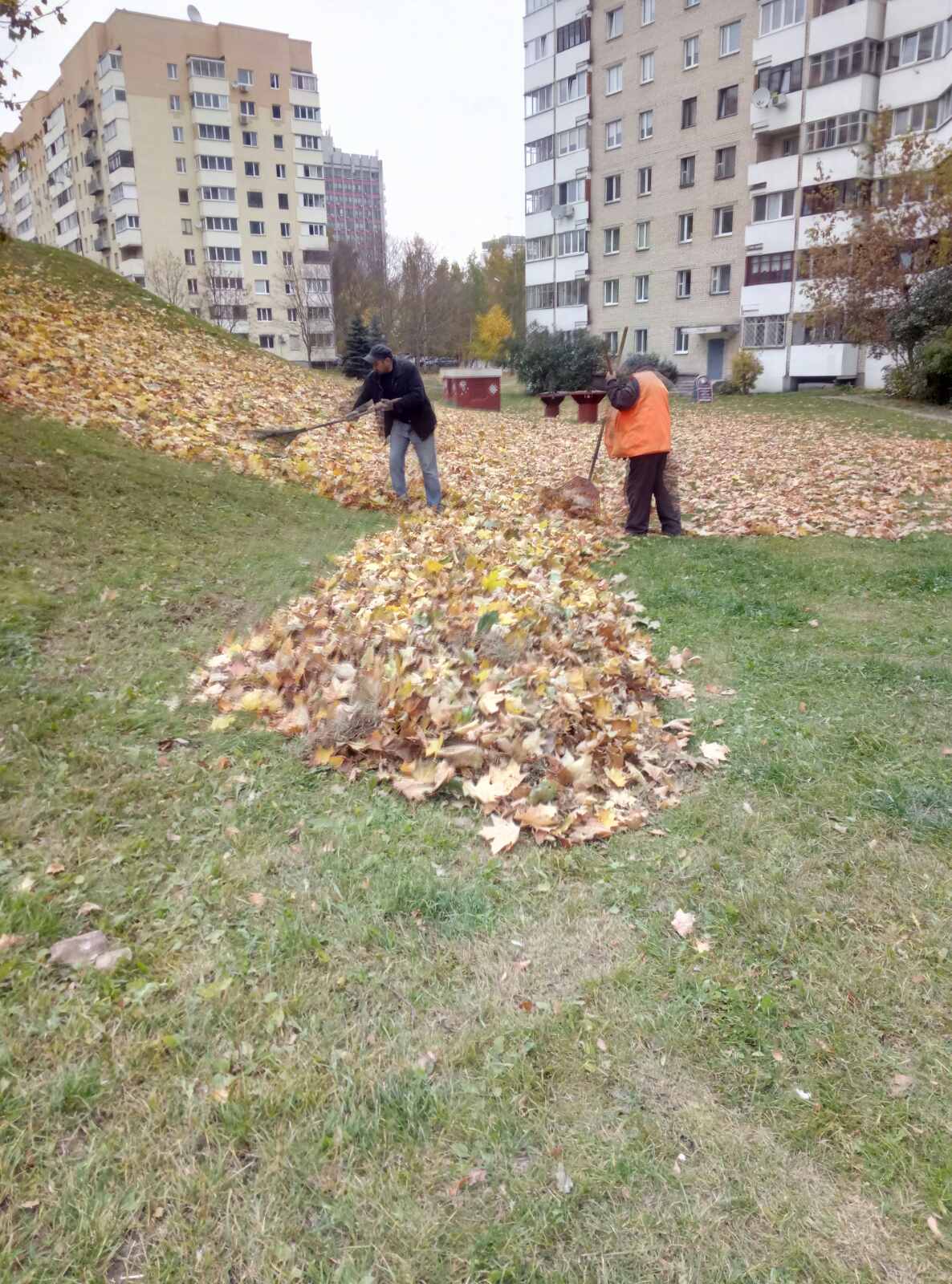 IMG bc37df8d3316185a2316cb3adf279f88 V