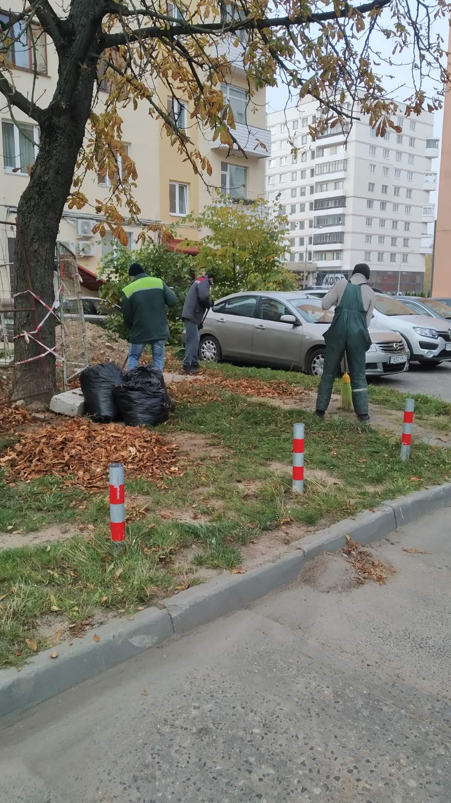 IMG bc37df8d3316185a2316cb3adf279f88 V