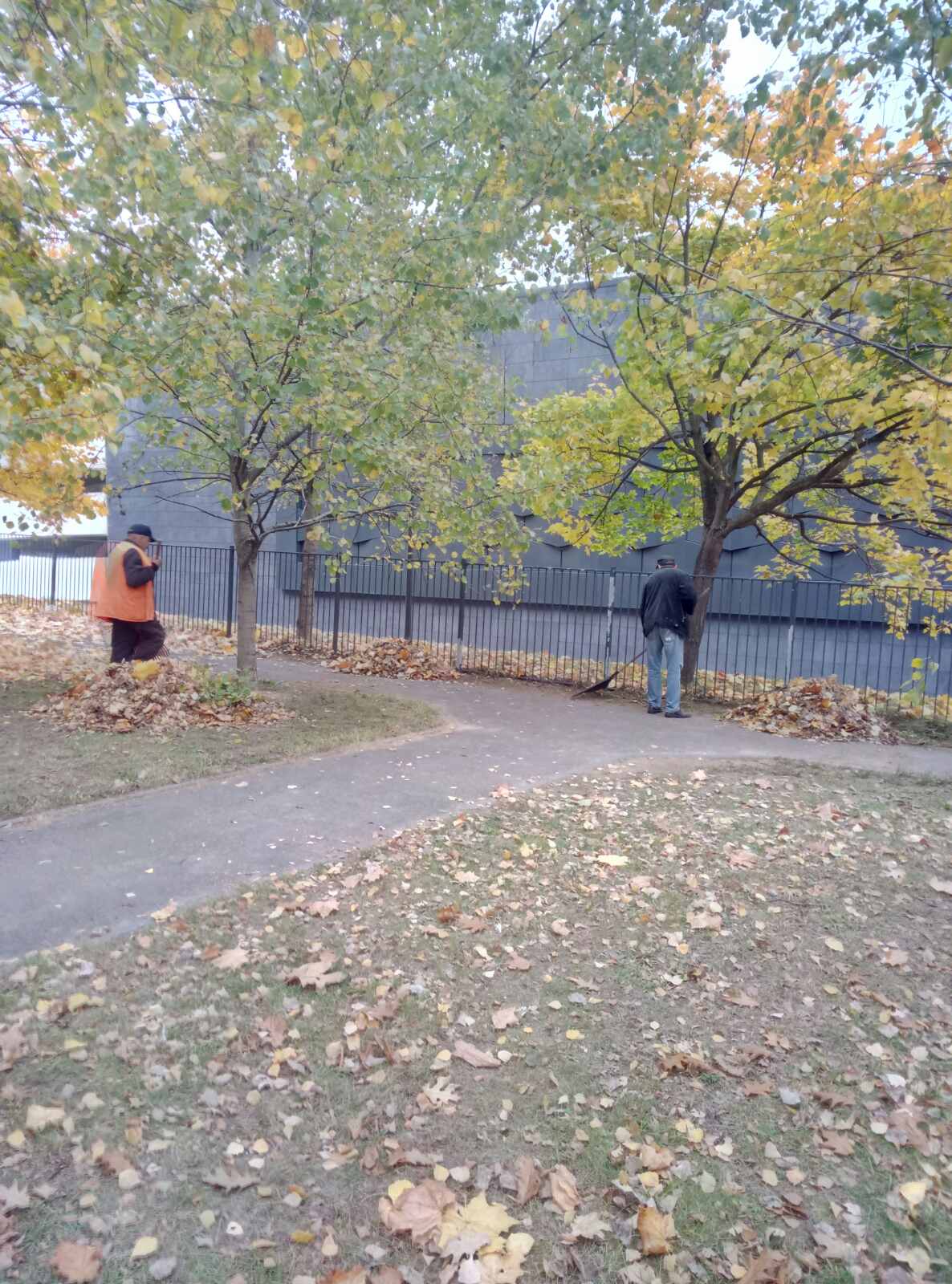 IMG bc37df8d3316185a2316cb3adf279f88 V