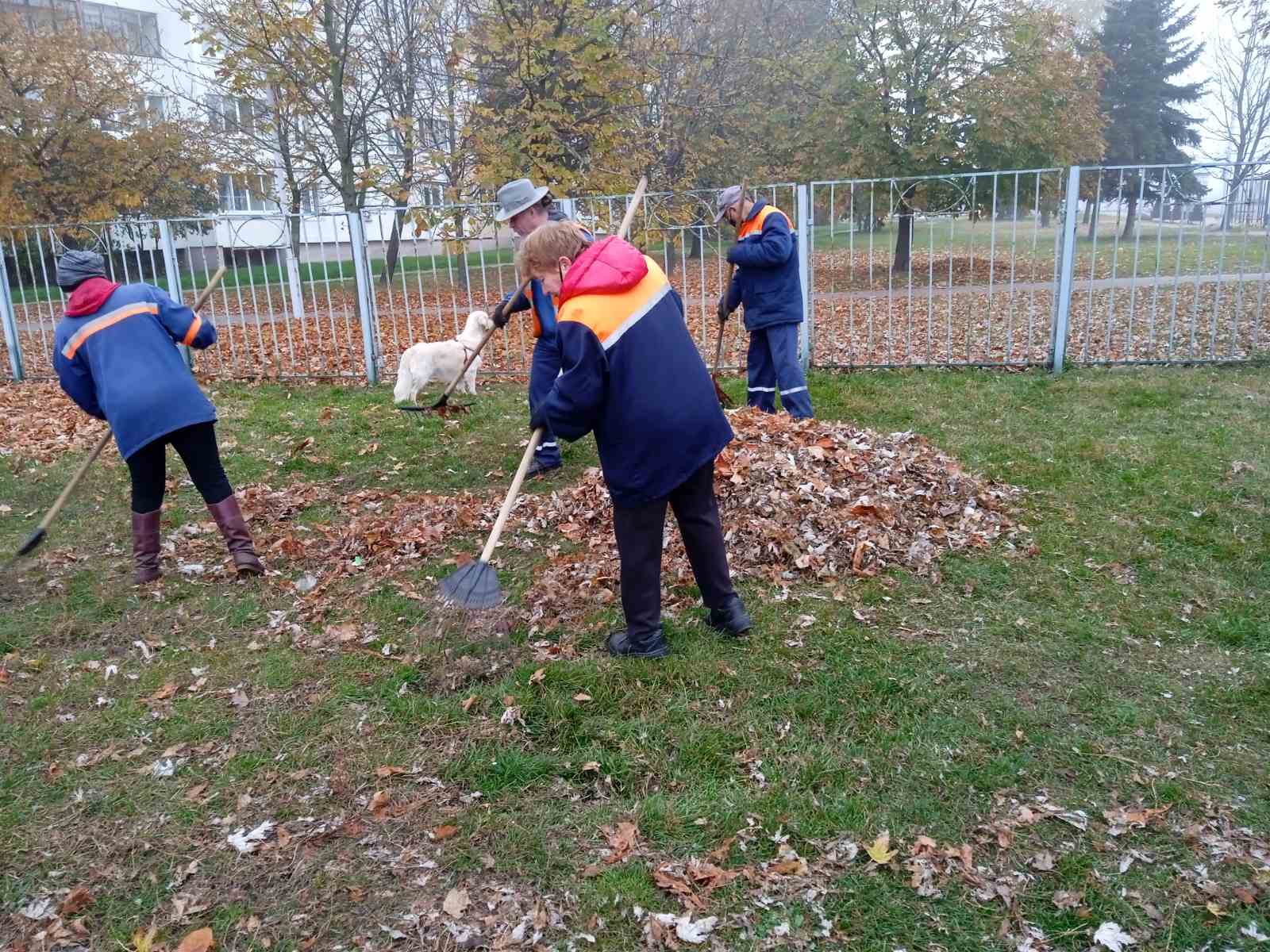 IMG bc37df8d3316185a2316cb3adf279f88 V