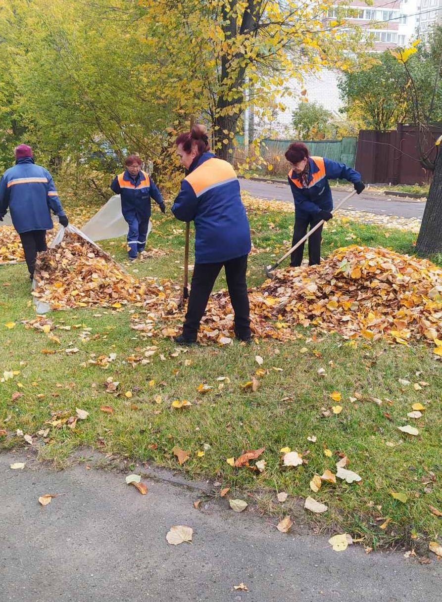 IMG 03b31bcd2e64d69763279ac04f0bbb1b V