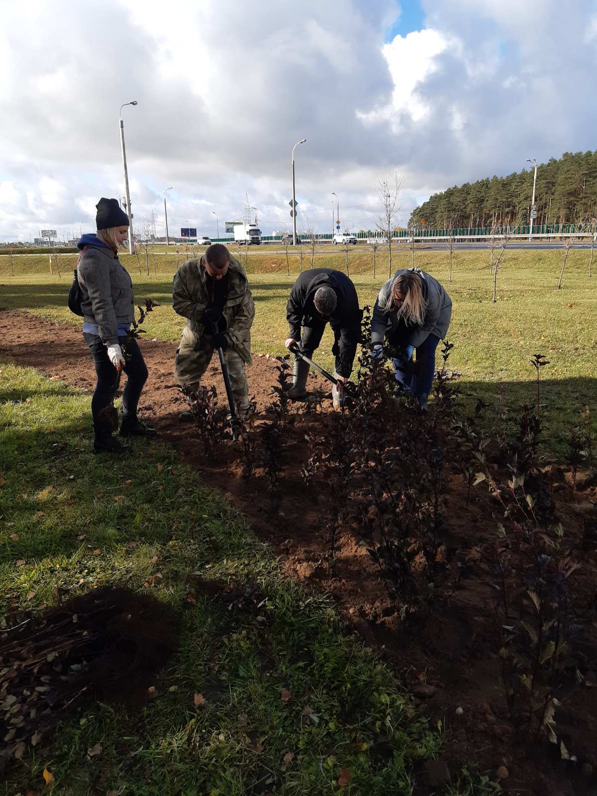 IMG b744d58be8d27edb2c82f2ecbcbfeac6 V