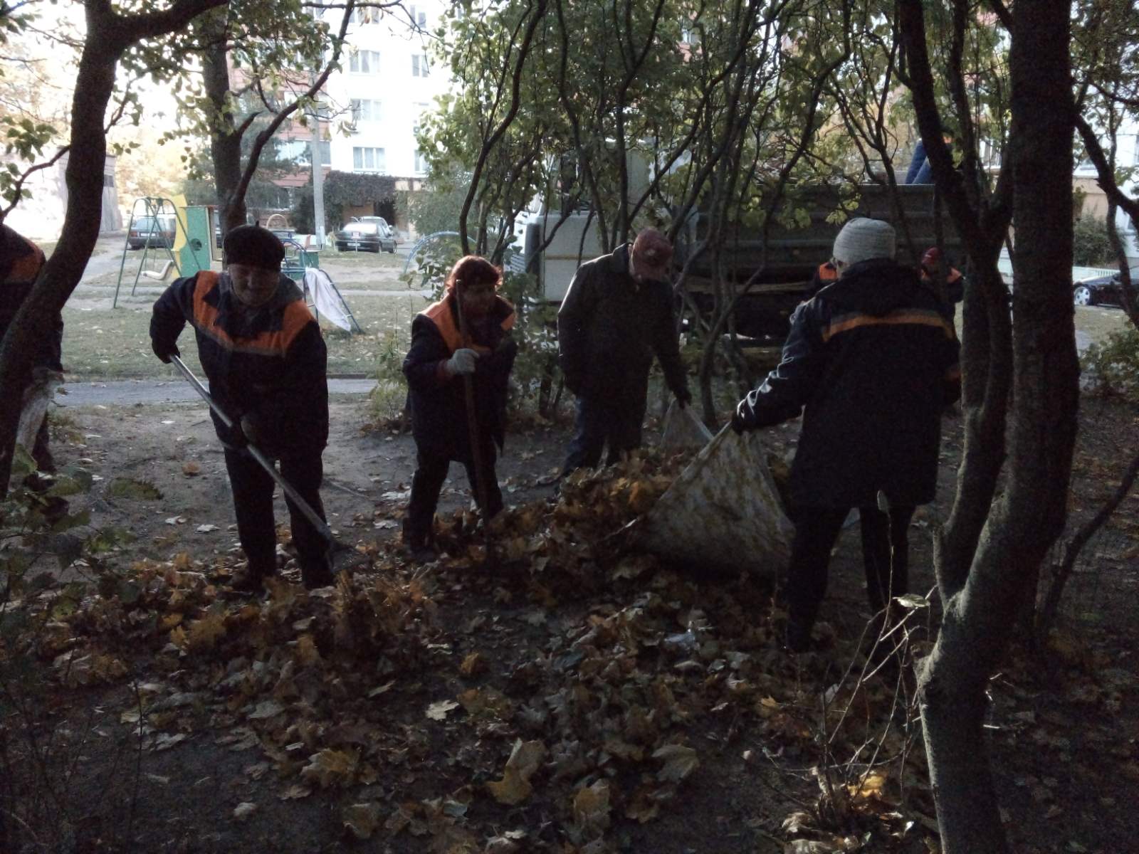 IMG 0da182d7d85a722987d56ab06e61a41e V