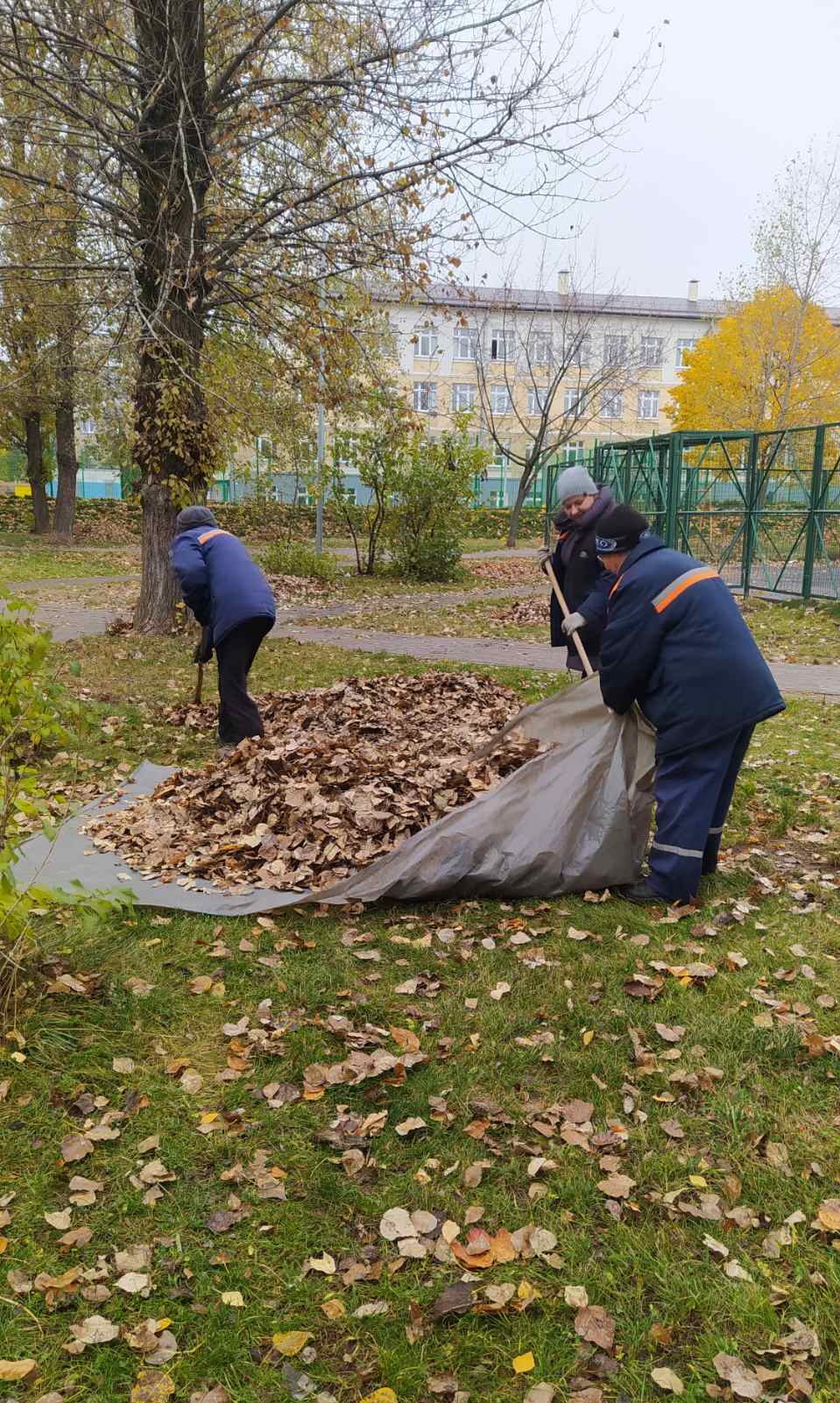 IMG 68c64a1aa7e5246b13d7b4be85c08a26 V