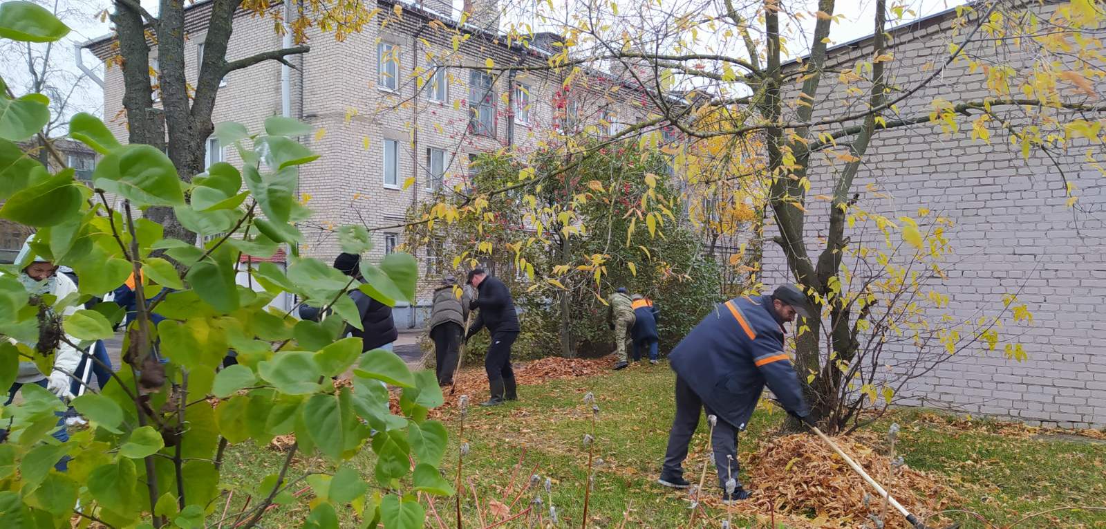 IMG 68c64a1aa7e5246b13d7b4be85c08a26 V