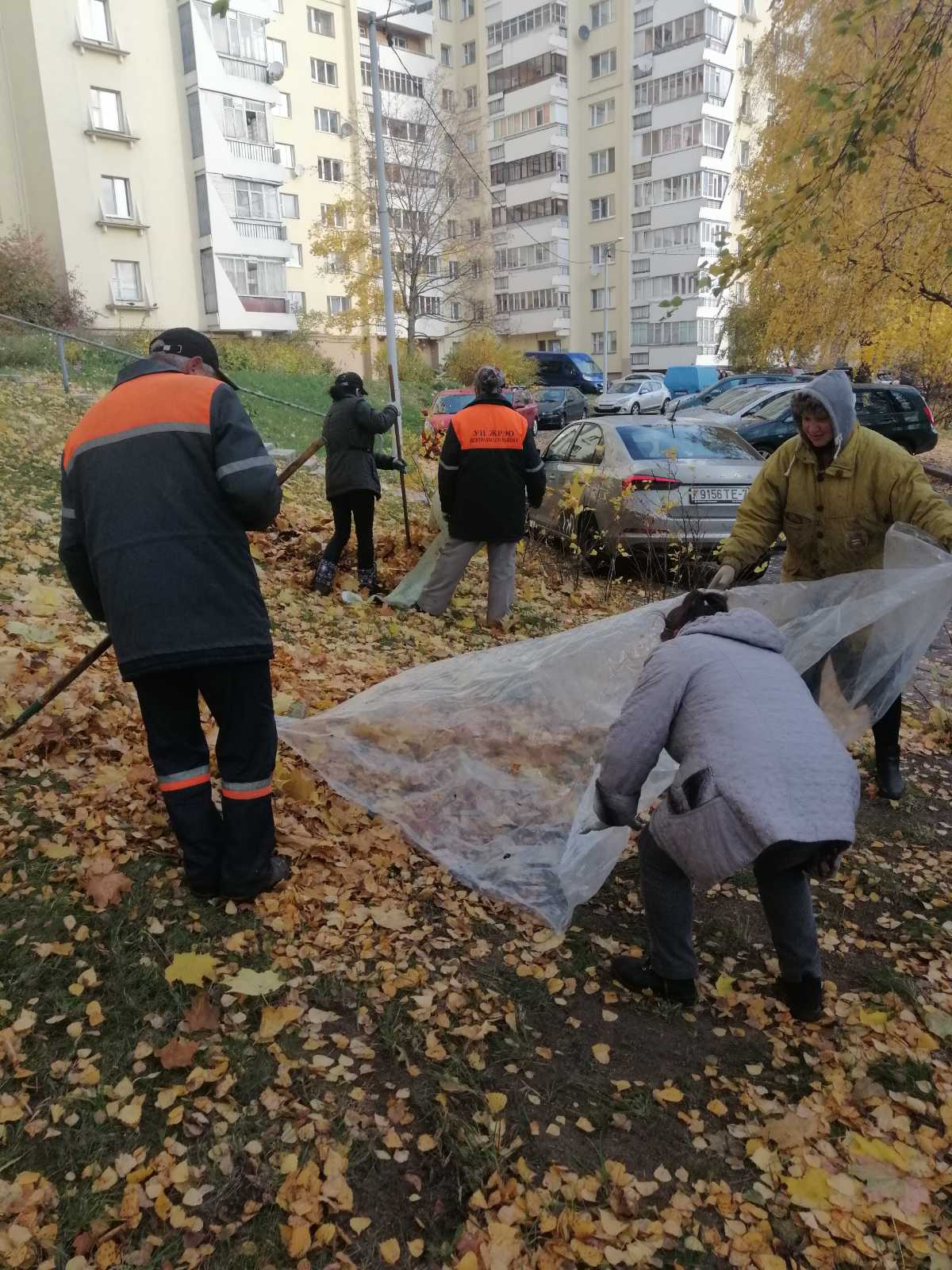 IMG fb6db1b5f851a287cb33829bd2ab6713 V