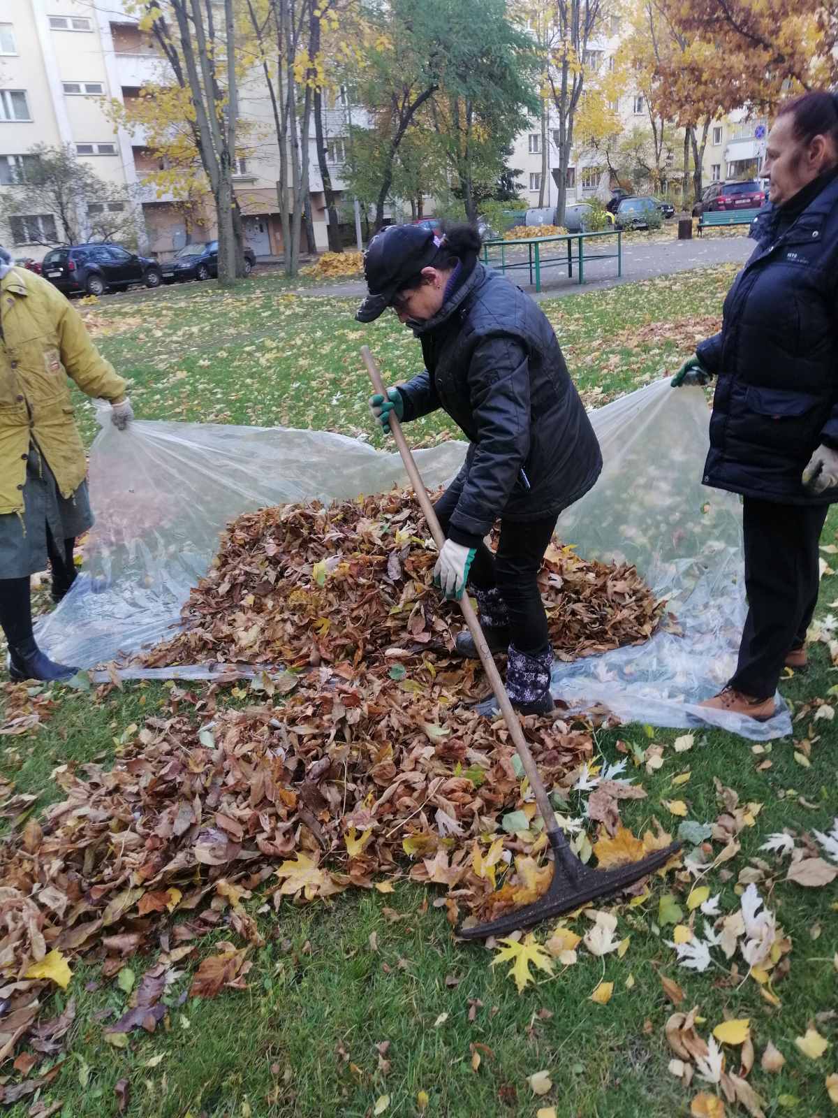 IMG fb6db1b5f851a287cb33829bd2ab6713 V