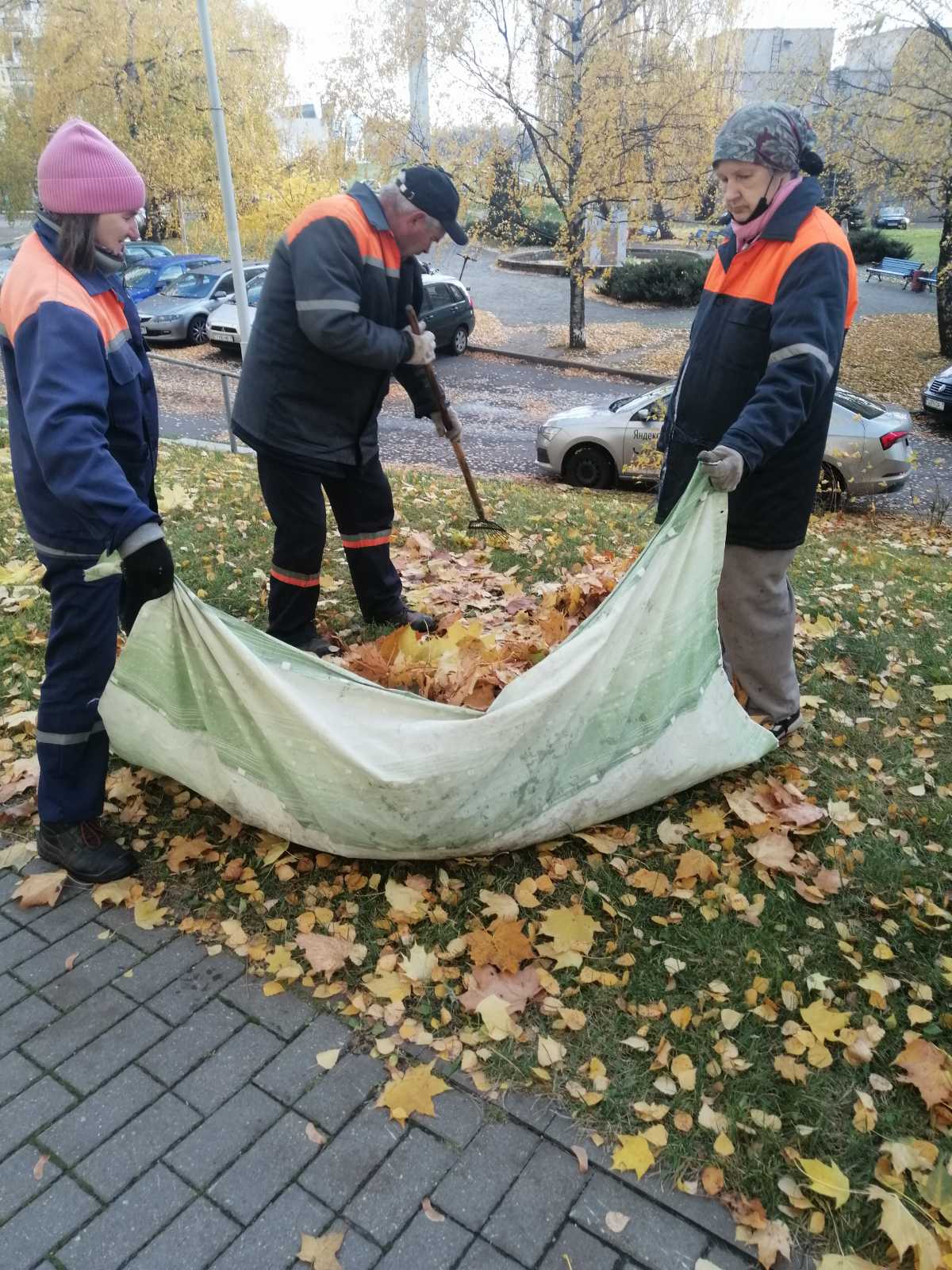 IMG fb6db1b5f851a287cb33829bd2ab6713 V