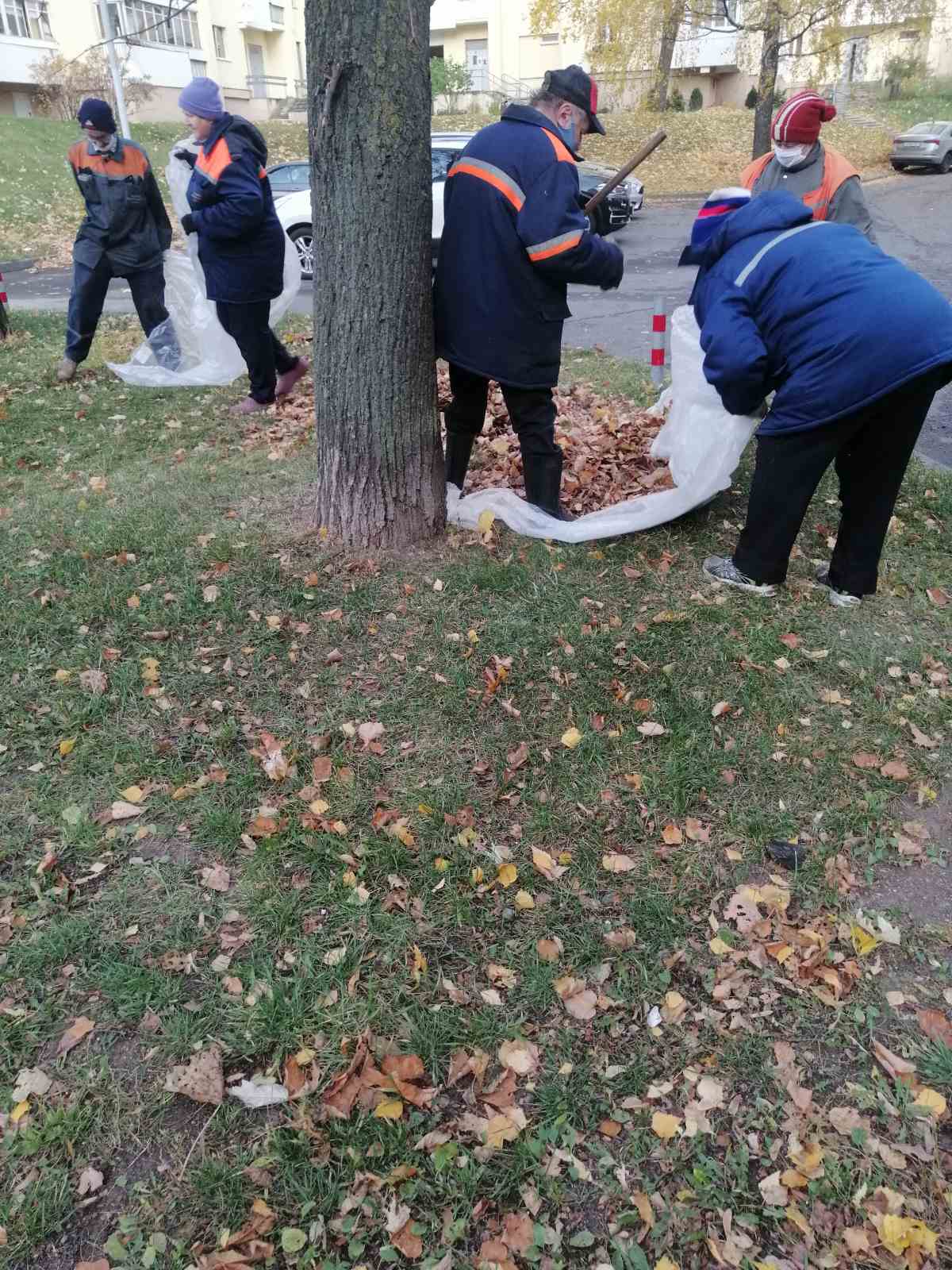 IMG fb6db1b5f851a287cb33829bd2ab6713 V