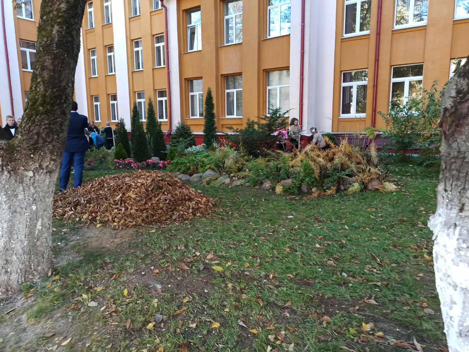 IMG f87123cade569156b66fb31e61391ea5 V