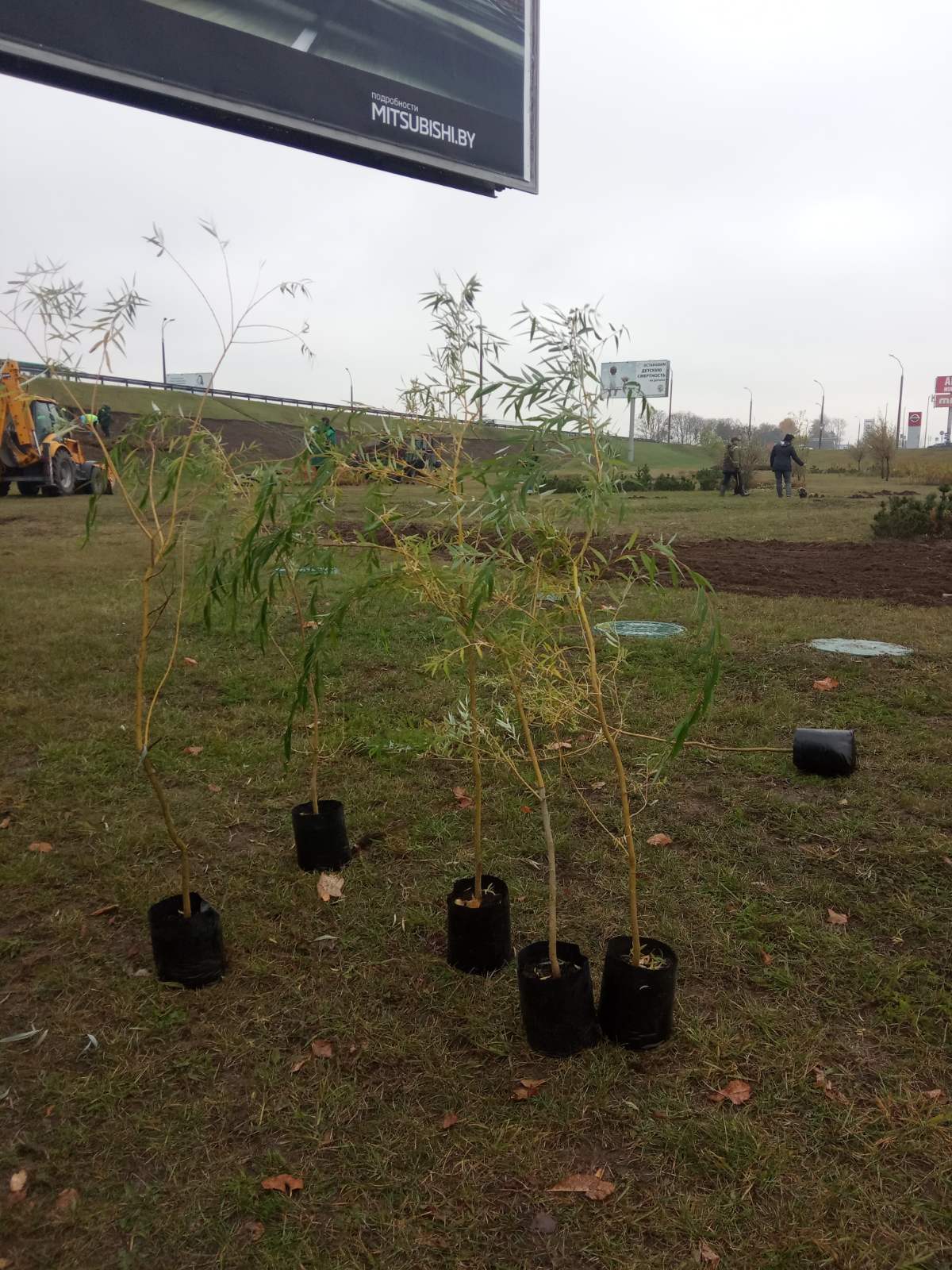 IMG e34501f9492ff2a315b0e7498ac91080 V