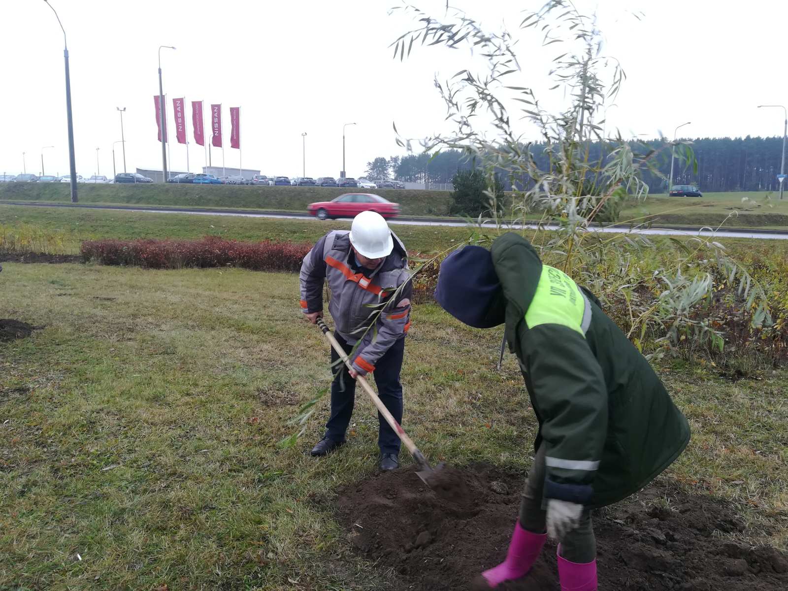 IMG e34501f9492ff2a315b0e7498ac91080 V