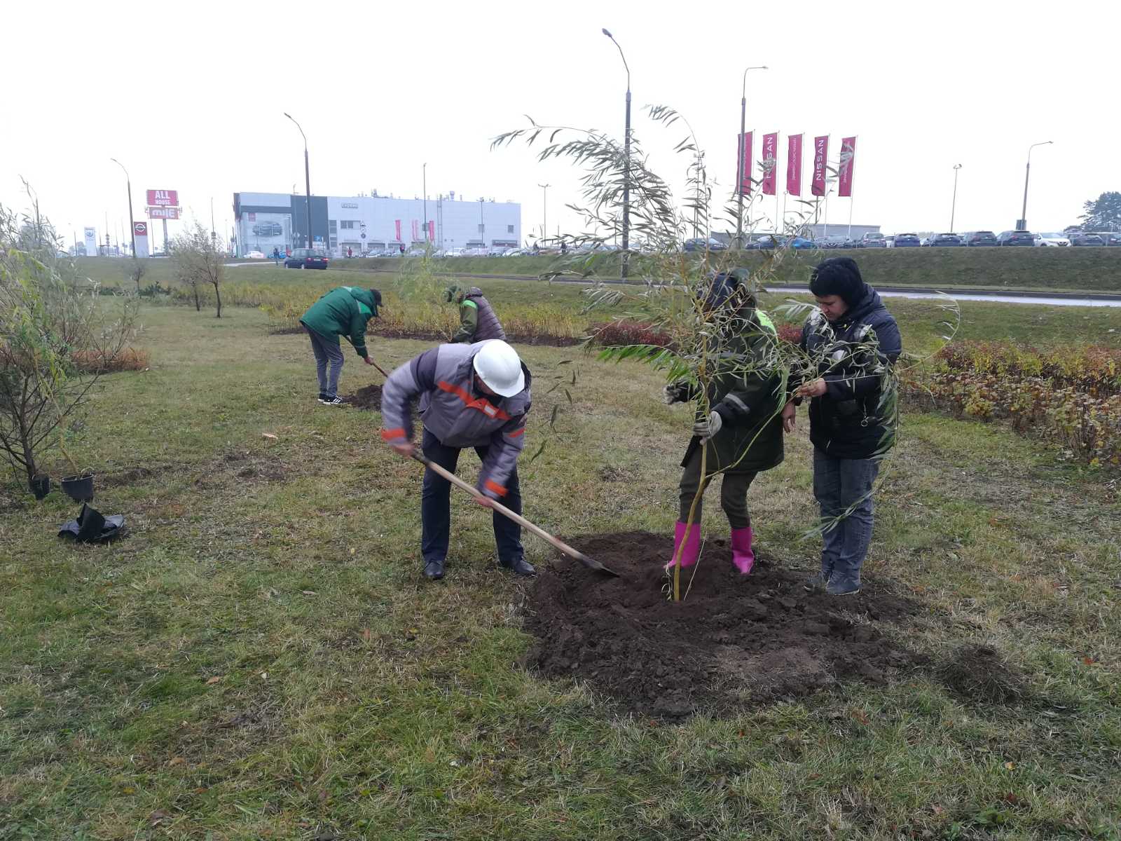 IMG e34501f9492ff2a315b0e7498ac91080 V