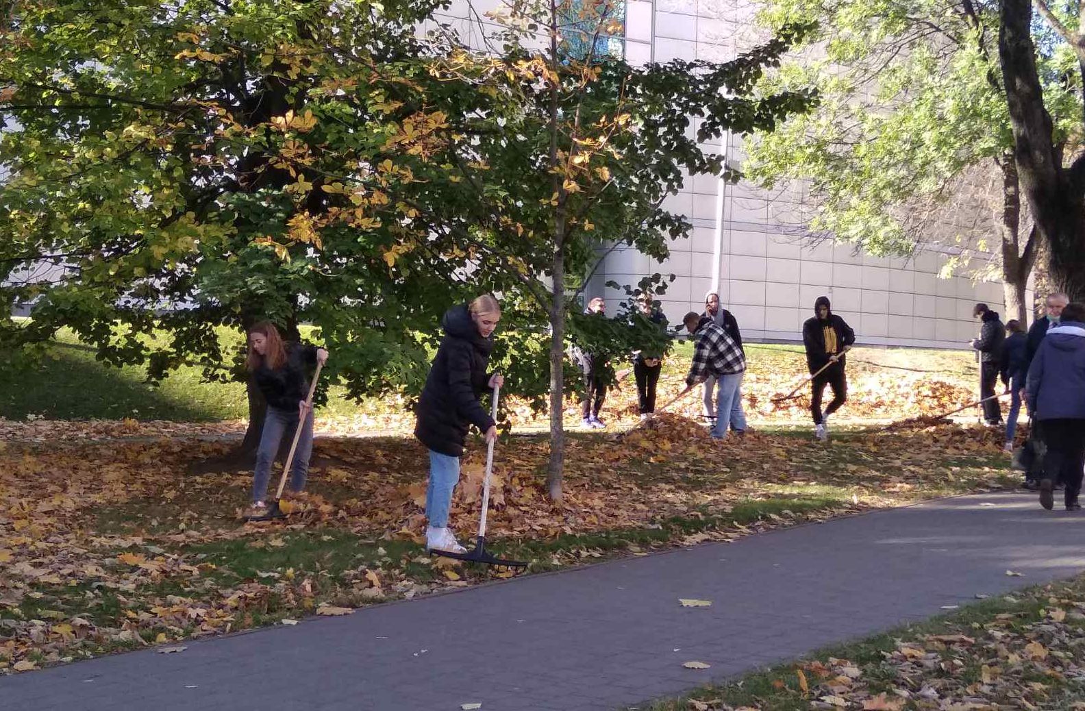 IMG faf5999e8cb887d7be64ae22fc4c54fe V