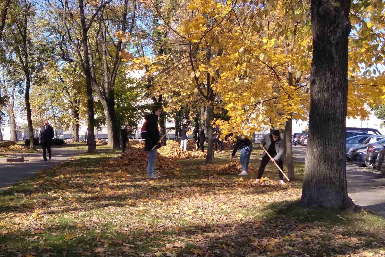 IMG faf5999e8cb887d7be64ae22fc4c54fe V